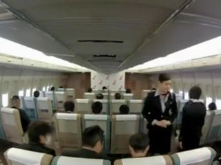 Attraktiv stewardessen